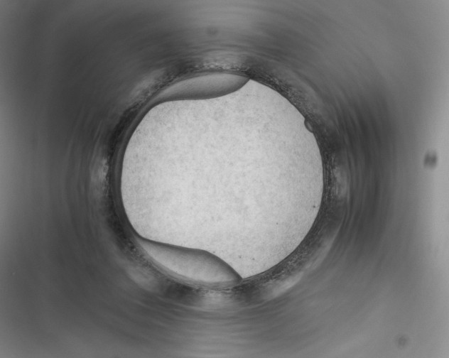 X0000116270308201001111020