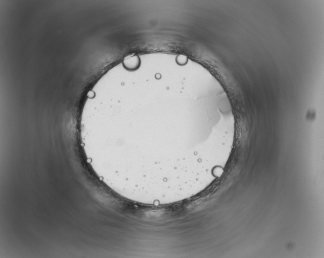 X0000116270309201001111020