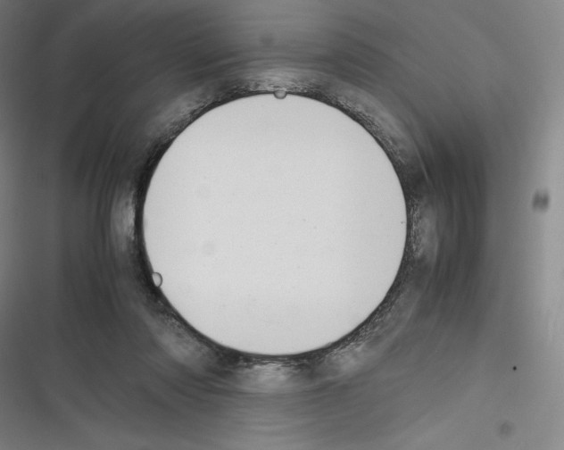X0000116270310201001111020