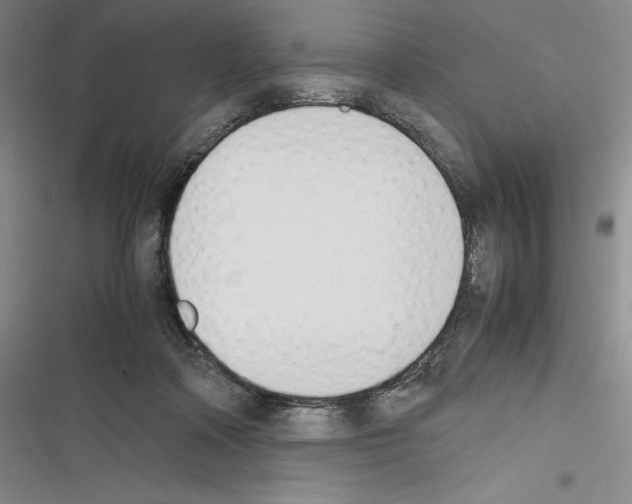 X0000116270314201001111020