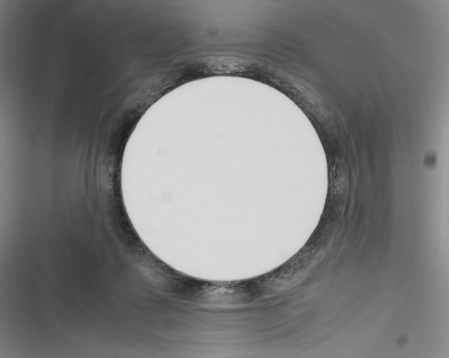 X0000116270315201001111020