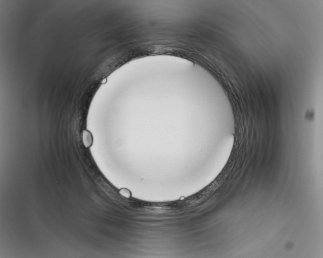 X0000116270316201001111020