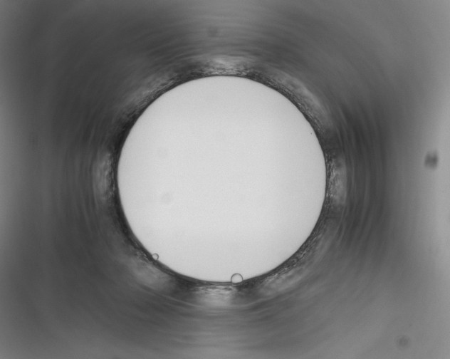 X0000116270318201001111020