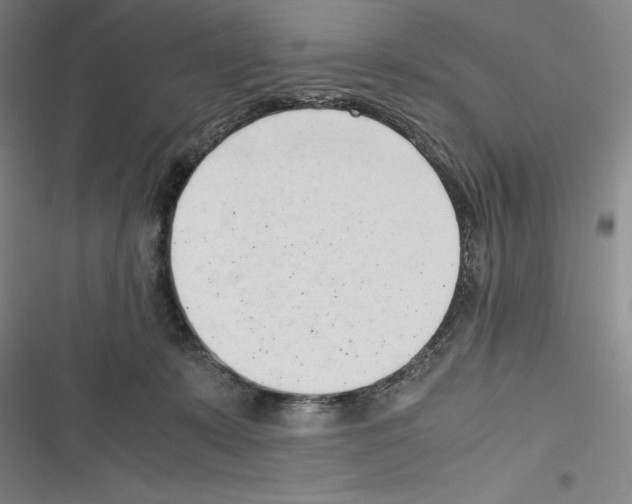 X0000116270319201001111020
