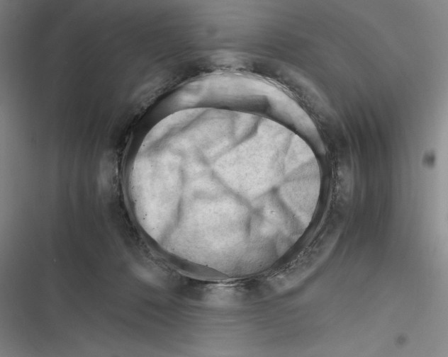 X0000116270320201001111020