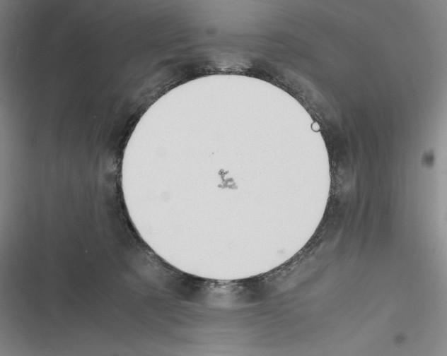 X0000116270321201001111020