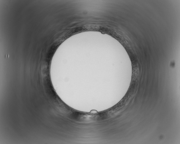 X0000116270323201001111020
