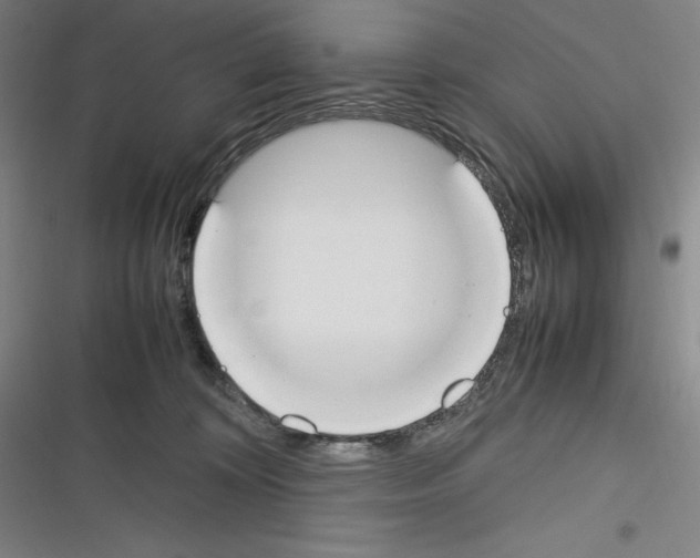X0000116270324201001111020