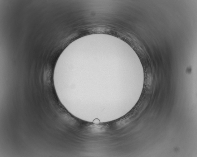 X0000116270326201001111020
