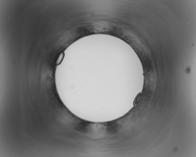 X0000116270327201001111020