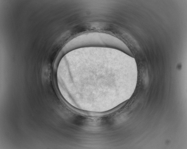 X0000116270328201001111020