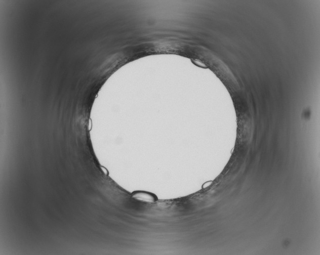 X0000116270329201001111020