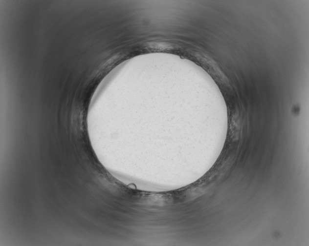 X0000116270330201001111019