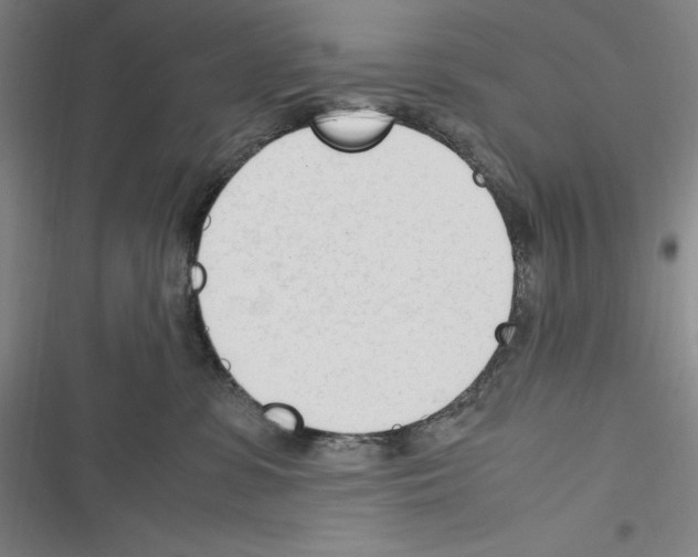 X0000116270331201001111019