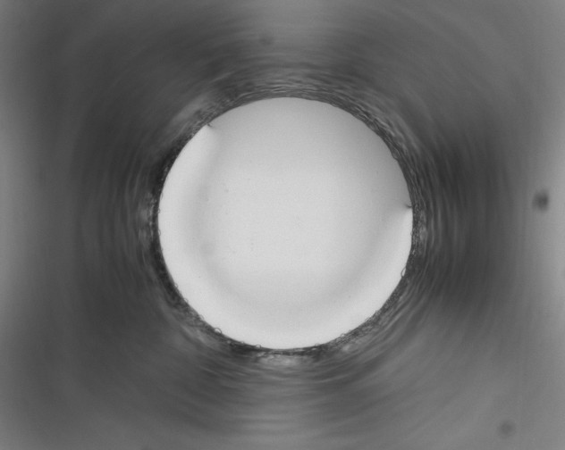 X0000116270332201001111019