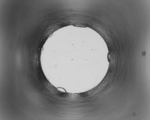 X0000116270333201001111019