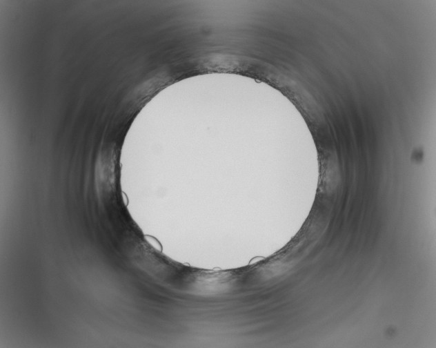 X0000116270334201001111019
