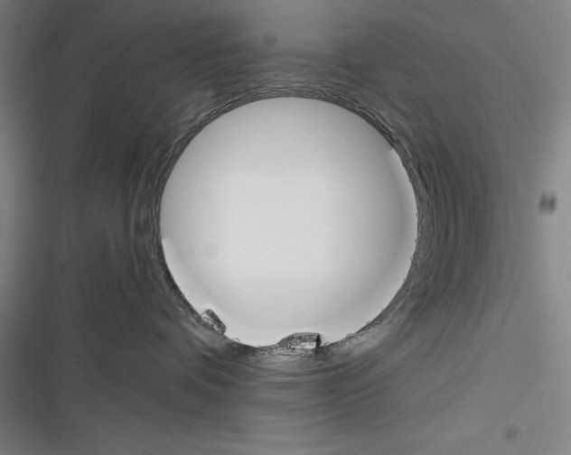 X0000116270336201001111019