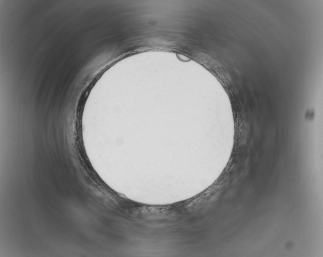 X0000116270338201001111019