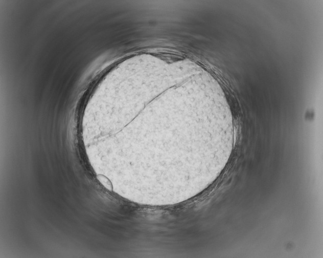 X0000116270339201001111019