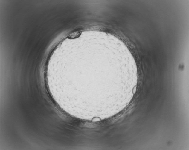 X0000116270341201001111019