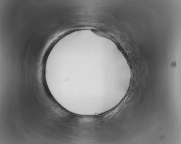 X0000116270342201001111019