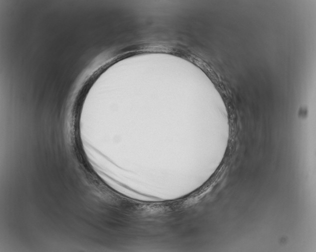 X0000116270343201001111019