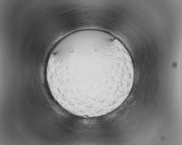 X0000116270345201001111019