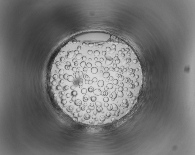 X0000116270346201001111019