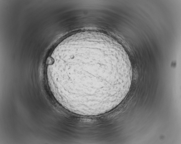 X0000116270347201001111019