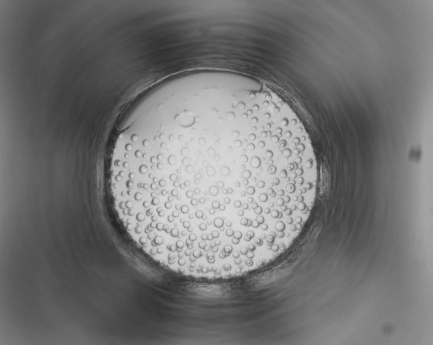 X0000116270349201001111019