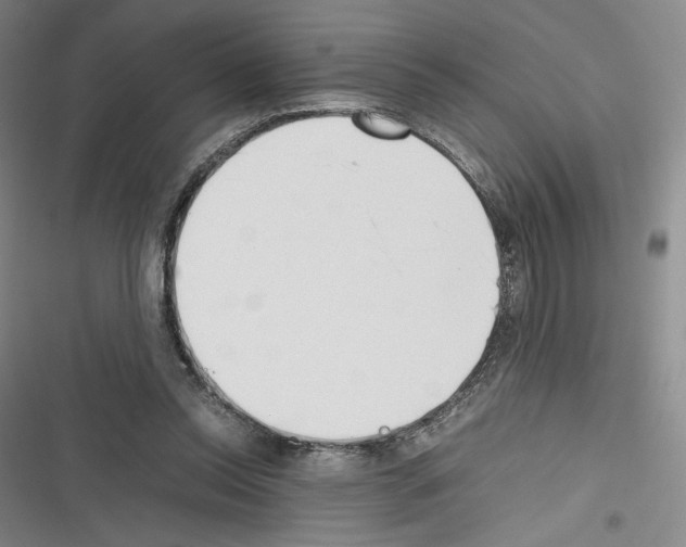 X0000116270350201001111019
