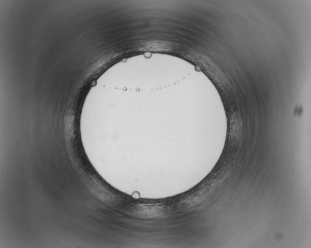 X0000116270351201001111019