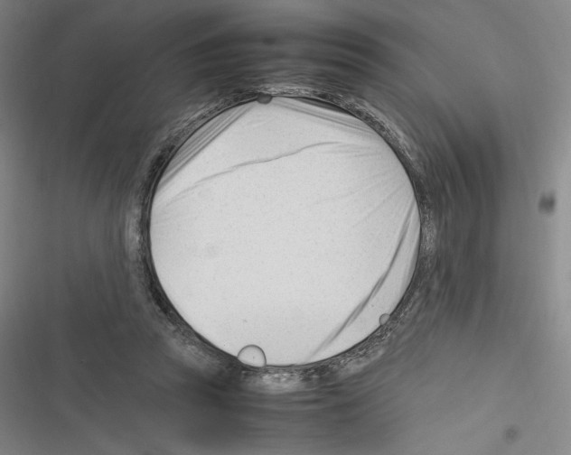X0000116270353201001111019