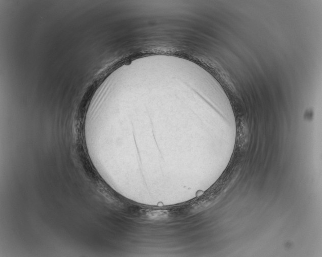 X0000116270355201001111019