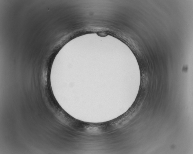 X0000116270358201001111019