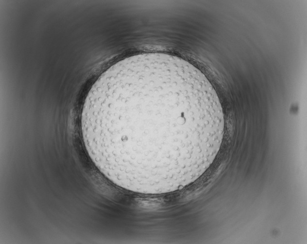 X0000116270359201001111019