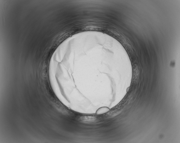 X0000116270361201001111019