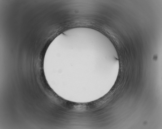 X0000116270362201001111019