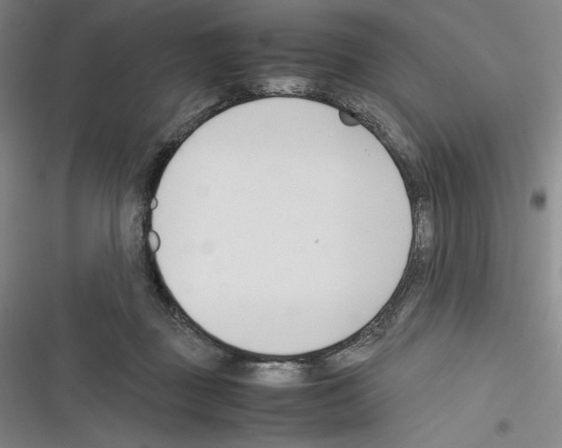 X0000116270363201001111019