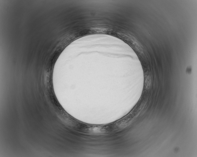 X0000116270365201001111019