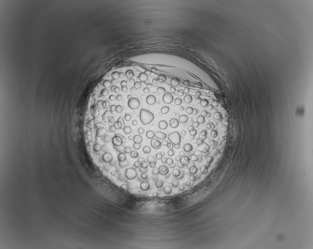 X0000116270366201001111019