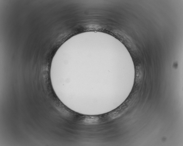 X0000116270369201001111019