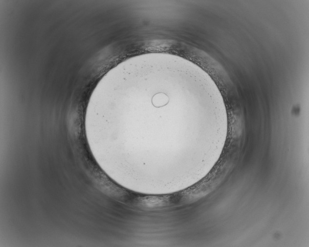 X0000116270370201001111019