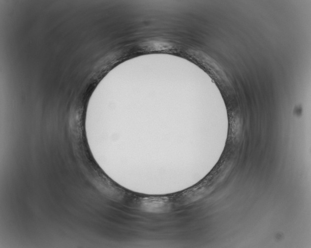 X0000116270373201001111019