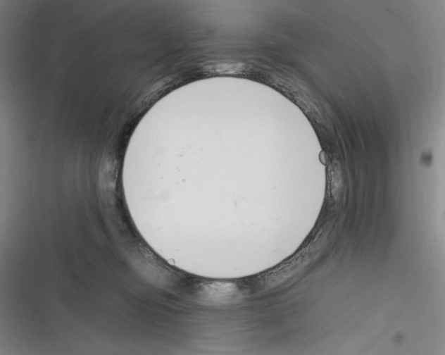 X0000116270374201001111019
