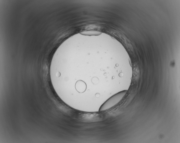 X0000116270375201001111019