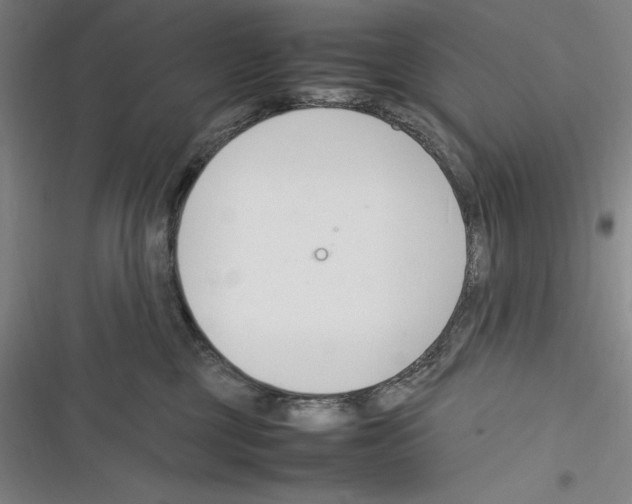 X0000116270377201001111019