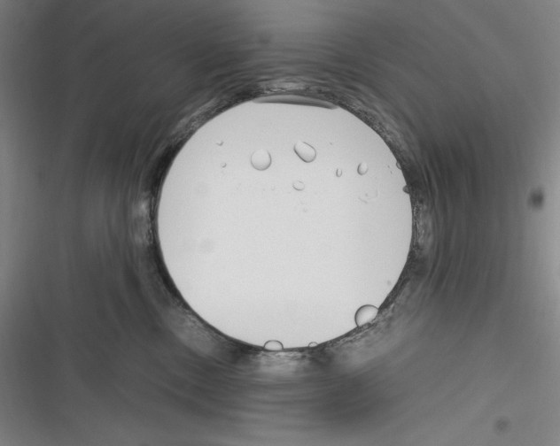 X0000116270378201001111019