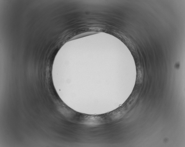 X0000116270379201001111019